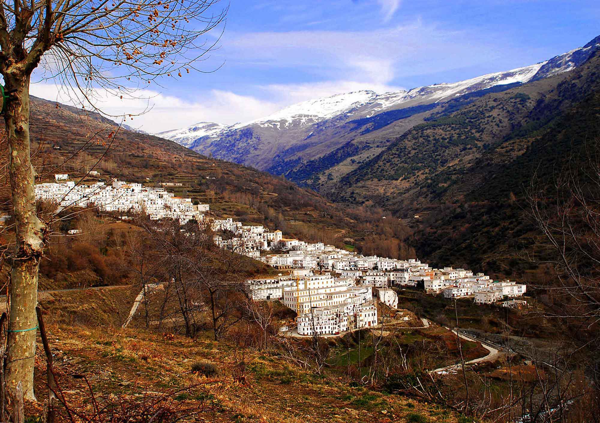 visitar Ronda en 1 día desde Granada